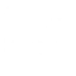 cottage icon