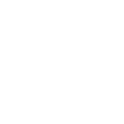 wifi-signal icon