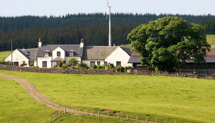 Lochfield Farm wide angle view with forrest in the background